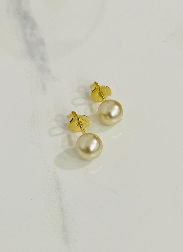 [724016] Arete Perla 8 RR